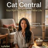 Cat Central - Cracking the Cat Code: Reading Your Feline's Body Language
