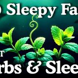Why Do Herbs Help You Sleep_ Calming Sleepy Science for Deep Sleep