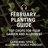 🎧 February Planting Guide: Top Crops for Your Garden and Allotment | Gardening Tips & Allotment Advice Podcast