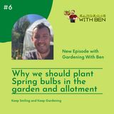 Episode 6 - Why we should plant Spring bulbs in the garden and allotment