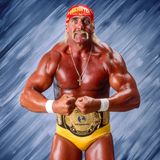 Hulk Hogan on is famous TSN interview Off The Record