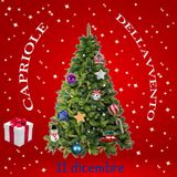 Capriole dell'Avvento - 11 dicembre 2024