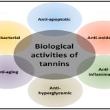 Tannins