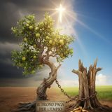 Quando accade va tutto a scatafascio… perchè?