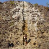 Climate and Diet of Early Humans