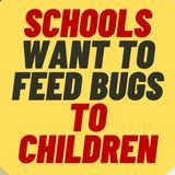 NOW They Want To Feed Bugs To Children!