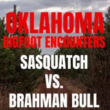 SASQUATCH THEORY|| BIGFOOT STORIES FROM OKLAHOMA|| IT FOUGHT WITH A BRAHMAN BULL!!!