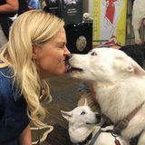 1278. Actress Elaine Hendrix Guests - Scammer Offers to Find Lost Pets for a Fee