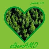 Puntata 213 - alberiAMO