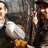 Falcon, Falconer Both Being Treated After Westborough Rescue