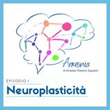 #1: Neuroplasticità