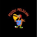 Author Leron Anthony Stewart/Creator of Picou Pelican Is On Air!