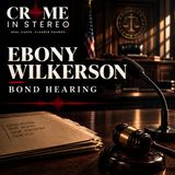 Ebony Wilkerson Bond Hearing Part 2 05 29 14