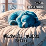 Controllo qualità miele - terza settimana