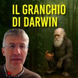 Darwin ha preso un granchio