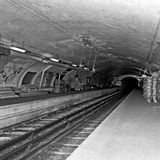 Ficción sonora: FLOR DE VIENTO #LGTBI