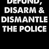 Disarm The Police? Are You Insane?