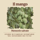 4. Il mango