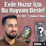 Evde Huzur İçin Bu Hayvanı Besle!  - [23. Söz 2. Mebhas 3. Nükte] - İnsan ve Hayvan