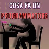 Cosa fa DAVVERO un PROGRAMMATORE?