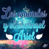 Los animales y el Arcángel Ariel