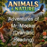 Adventures of Mr Mocker Dramatic Reading - Thornton W Burgess