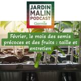 Février : Le mois des semis précoces et des fruits
