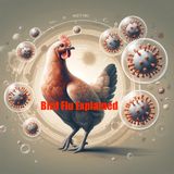 Bird Flu Explained
