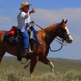 Horsemanship and Horse Stories Across America - Christy Wood on Big Blend Radio