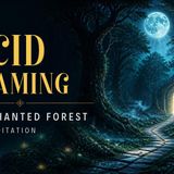 Lucid Dreaming Guided Meditation - The Enchanted Forest - Meditation Vacation