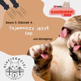 S3E4 - Tajemniczy język łap.