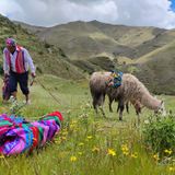 Episode 23 | Reforesting the Andes: One tree at a time
