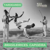 Brasileirices :: Capoeira