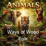 Ways of Wood Folk - William J Long