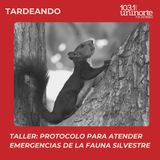 Taller Ecocampus :: Protocolo para atender emergencias de la fauna silvestre