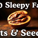 The Most Relaxing Facts About Nuts _ Seeds to Fall Asleep To _ No Adverts