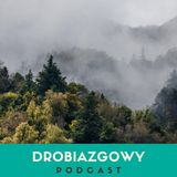 Urwany ślad: gdy nie ma odpowiedzi