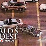 Parole Violation _ World_s Wildest Police