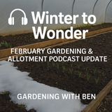 🎧 ❄️ Winter to Wonder: February Gardening & Allotment Podcast Update