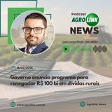 Produção brasileira de azeite de oliva bate recorde e alcança 1,43 milhão de litros