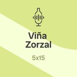 5x15. Xabi Sanz, Viña Zorzal: "Damos placer a un precio muy digno"