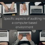 T.A.19. Specific aspects of auditing in a computer based environment