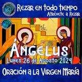 angelus del día de hoy.  LUNES 26 DE AGOSTO 2024, 🌹Oración diaria a la Virgen María💙.