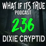 Archive 236 Paranormal