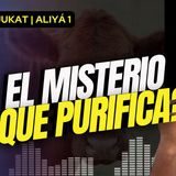 El Misterio que Purifica | 1  | Parasha Jukat