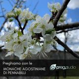 Lodi del 23 Maggio 2026 - Sabato della VII settimana del T.O. - Monache Agostiniane di Pennabilli