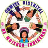 Formación en el derecho a la participación de mujeres indígenas en Bogotá