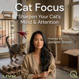 Cat Focus - The Focus-Friendly Home: Building an Environment That Stimulates Your Cat's Mind