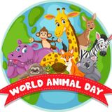 7 - Target acquisito