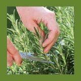 #184  Noi siamo Natura: come il giardinaggio ti rende più felice